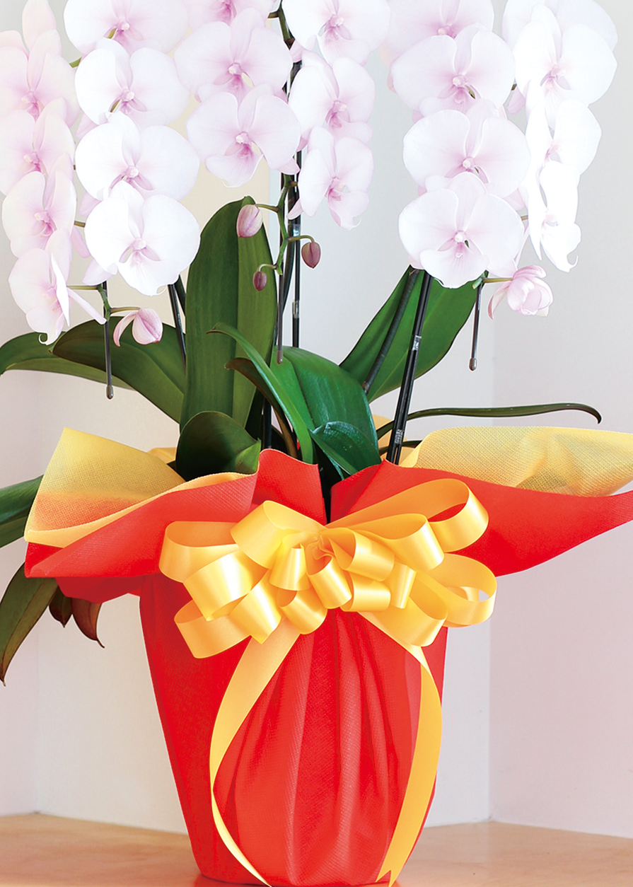 OrchidBowCoustomSatin