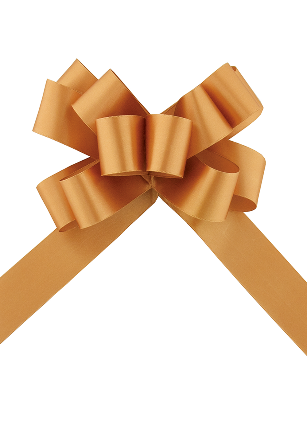 BouguetBowSwiftCorda-02